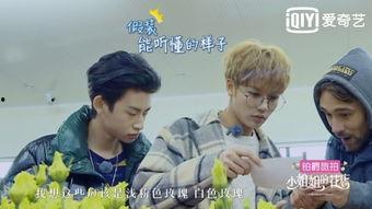 雷佳音吹花表情包,笑翻网友的“花式”演绎